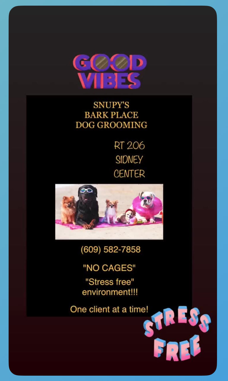 Snupy's Dog Grooming